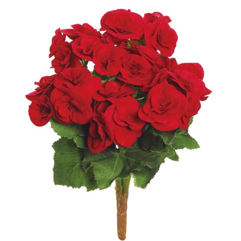 5286-R (00307) – Begonia Bush  10 Red