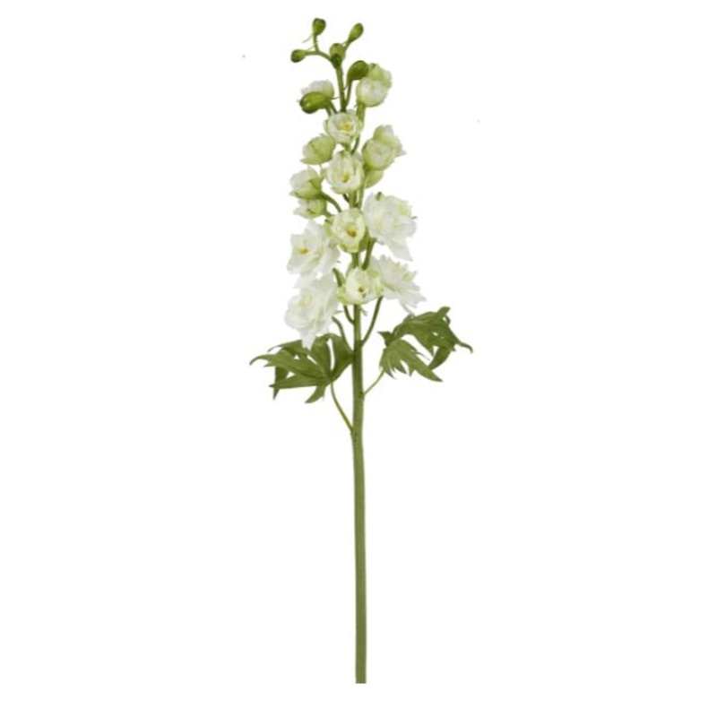 95618.WH (26166) – Delphinium White 47