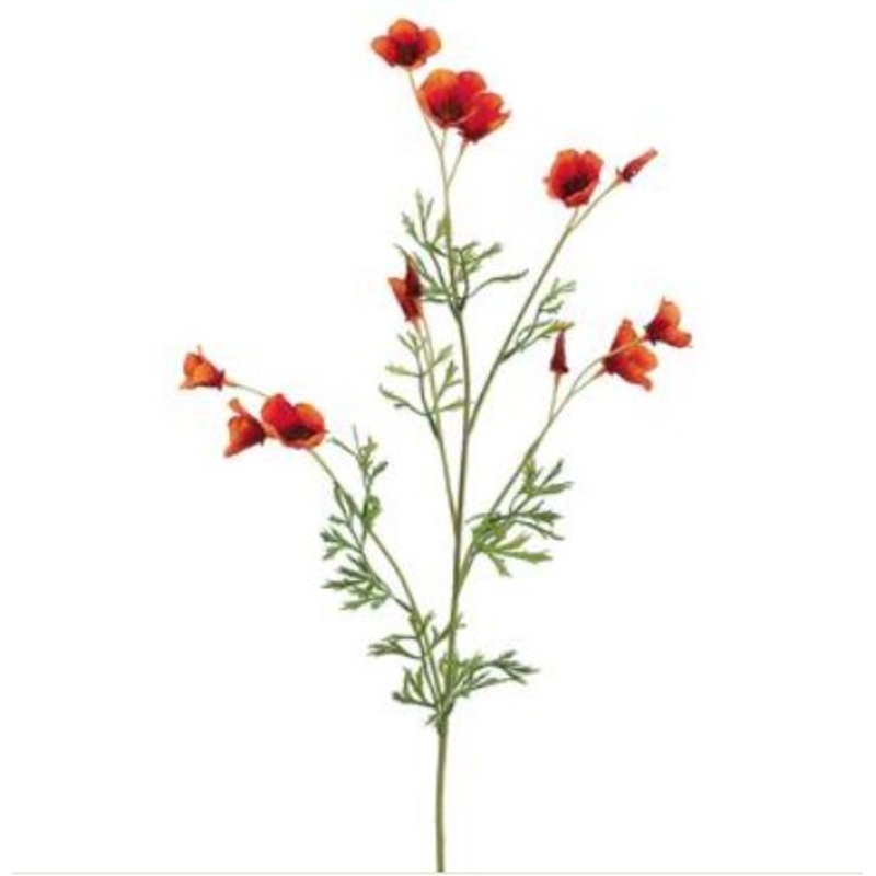 GTP020-OR (00428) – Mini California Poppy Spray 26 Orange