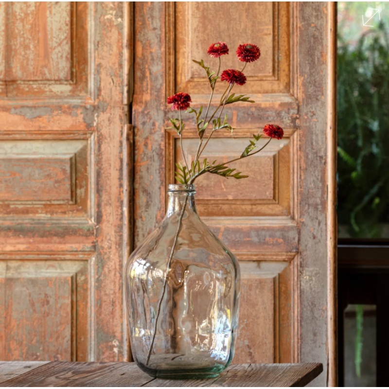 PHDFLW240325 (00451) – Aster Rust 27 Red N