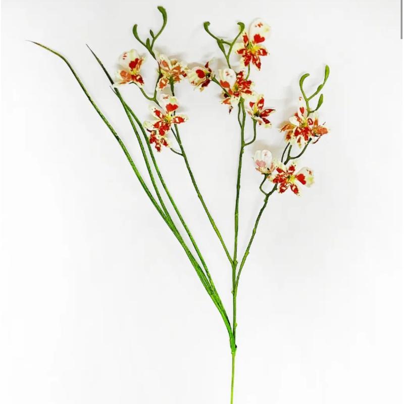 PHDFLW240485 (00448) – Wild Orchid Speckled 28 Orange N