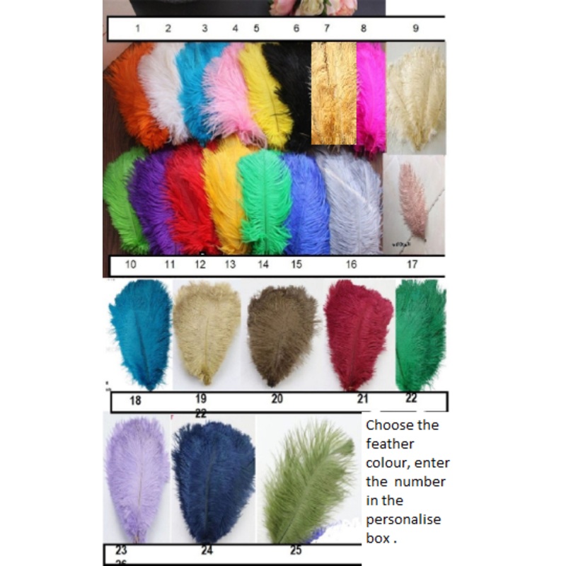 Ostrich feathers 5pcs at 15cm – 20cm in length