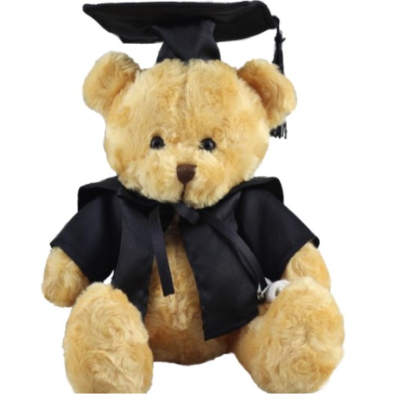 Brainy Box Graduation Bear
