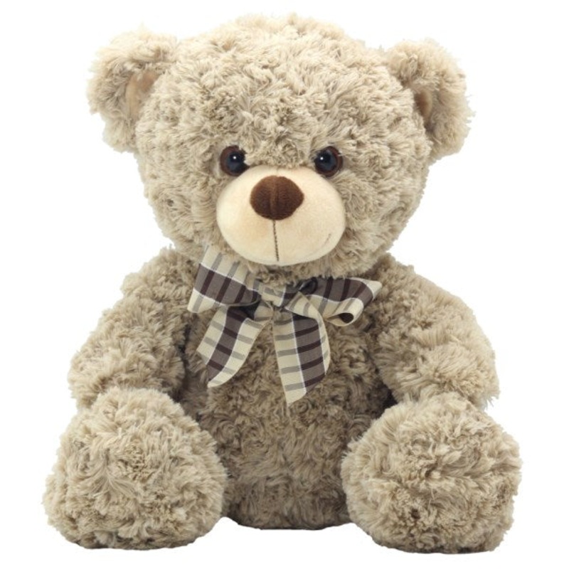 Brodie Bear Soft Toy – Small