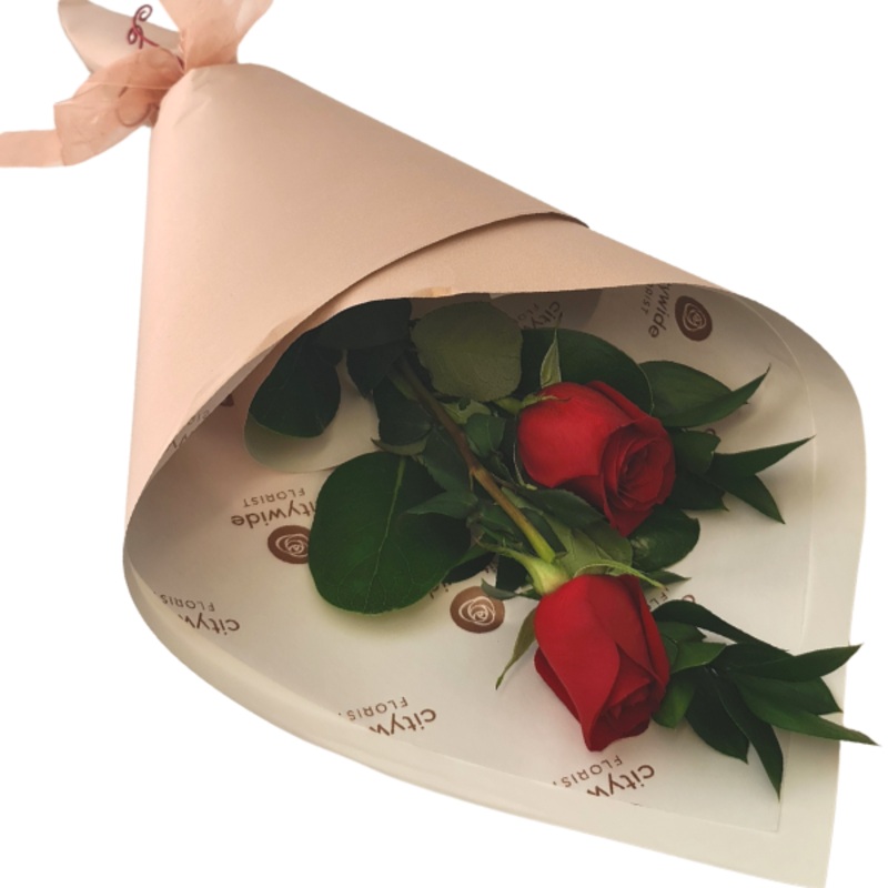 Two Roses Gift Wrapped-Red & Pink & Orange & White & Yellow