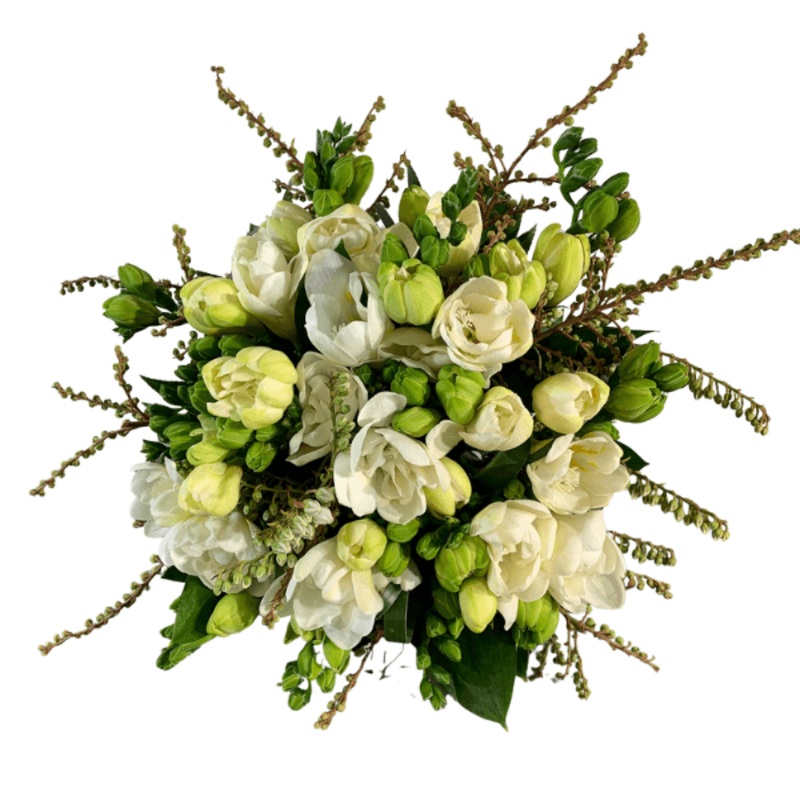 Fantastic Freesia-Small & Medium (shown)