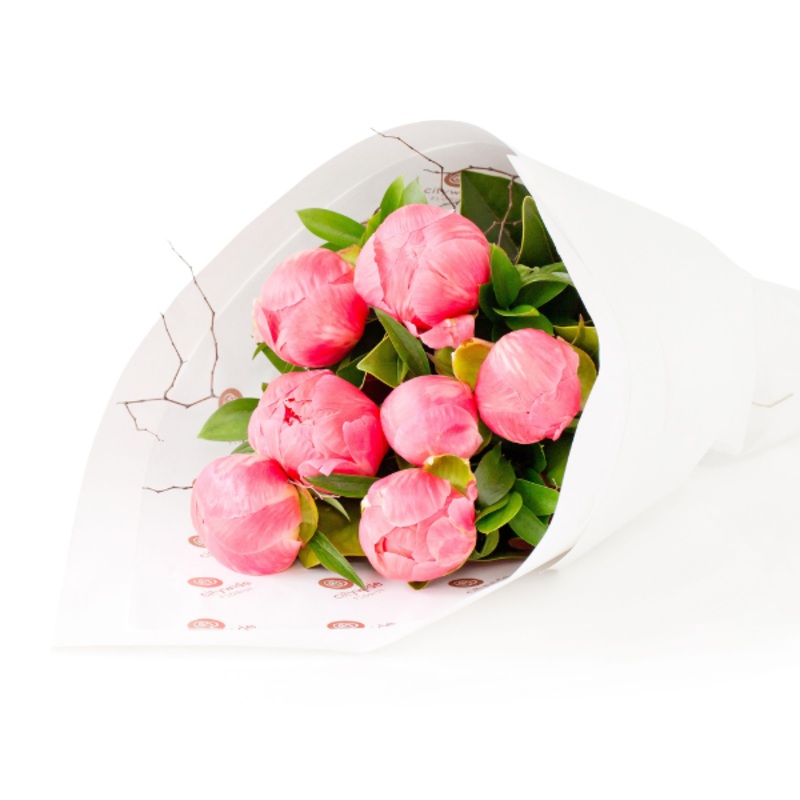 Peonies-Small & Medium & Large