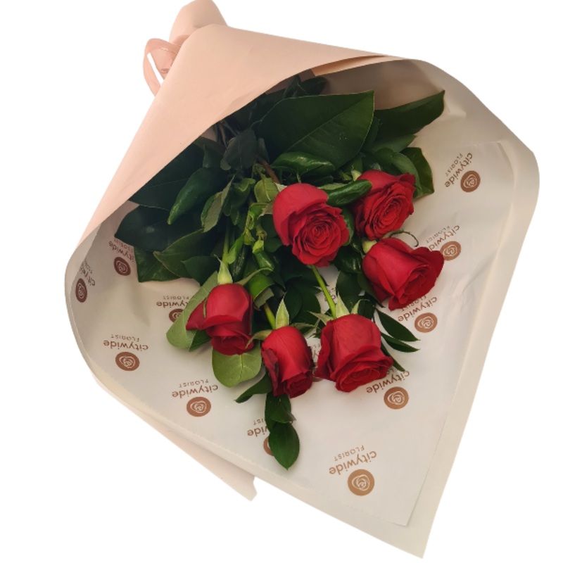 Six Roses Giftwrapped-Six-Red & Pink & White & Orange & Yellow