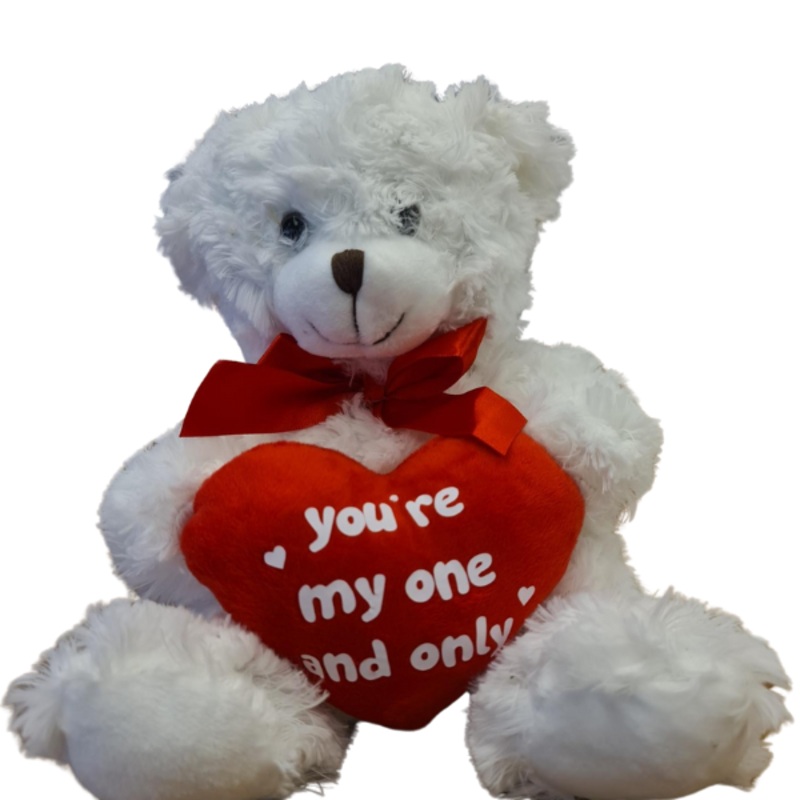 You’re my One and Only Teddy Bear