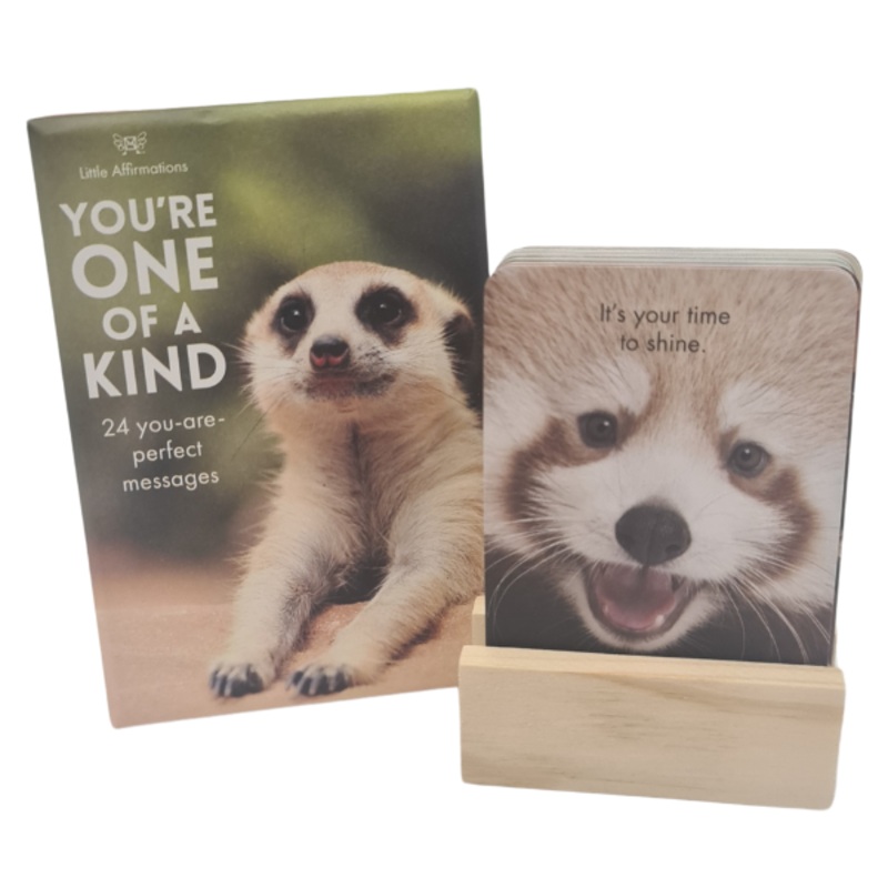 You’re One Of A Kind Affirmation Cards.