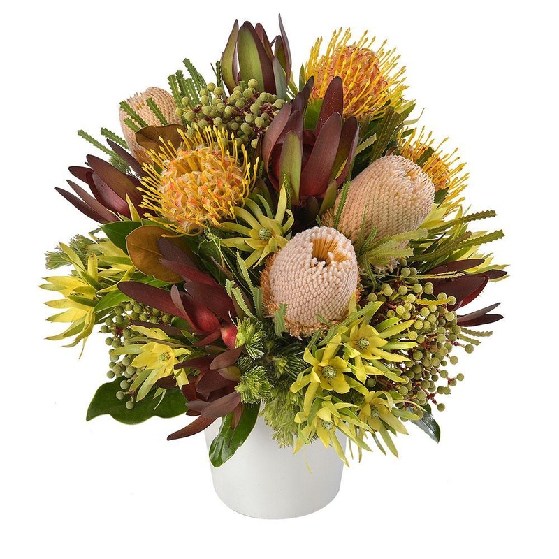 Salamanca-Small & Large