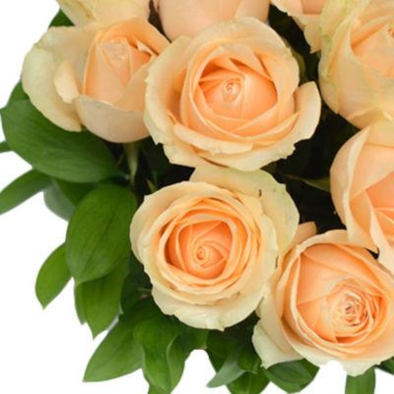 Rose Peach – Bulk and Wholesale