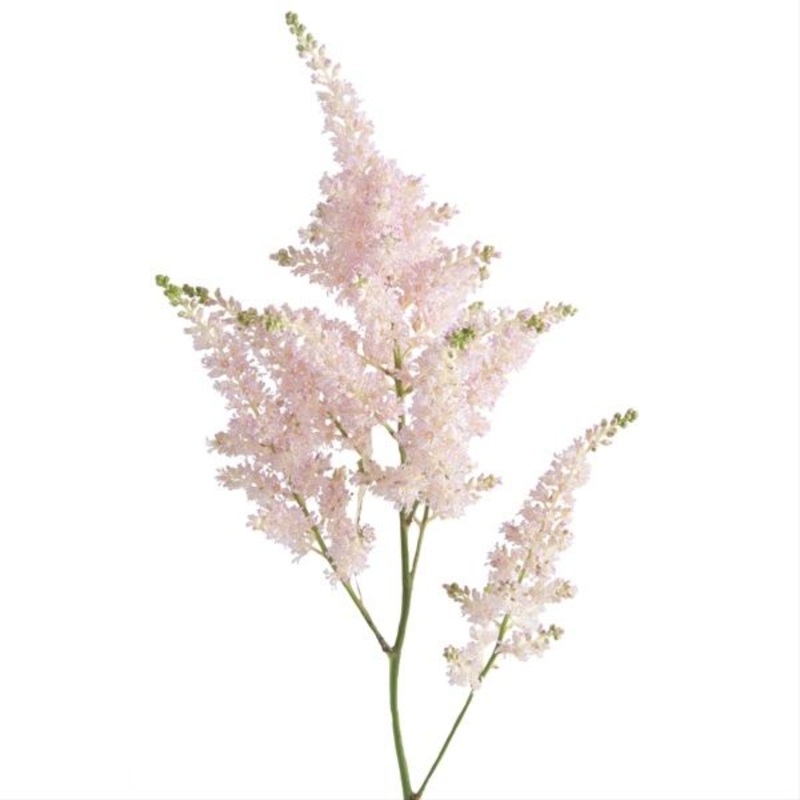 Astilbe Light Pink-1 Stem & 10 Stems