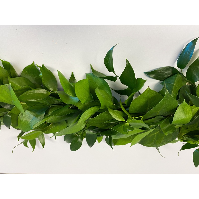 Classical Greenery Garland-1 Foot & 2 Feet & 3 Feet & 4 Feet & 5 Feet & 6 Feet & 7 Feet & 8 Feet & 9 Feet & 10 Feet & 11 Feet & 12 Feet & 13 Feet & 14 Feet & 15 Feet