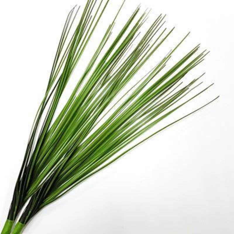 Steel Grass – Bulk and Wholesale